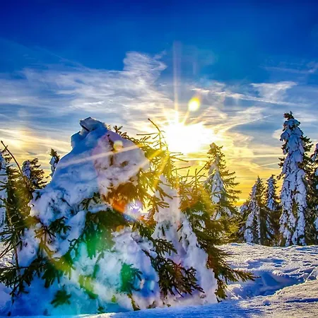 Mountain Klinovec Atomic *