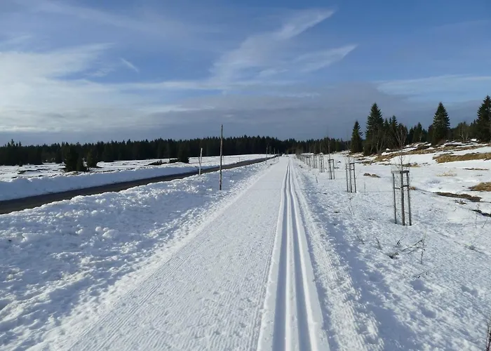 Apartman Mountain Klinovec Atomic Loučná pod Klínovcem